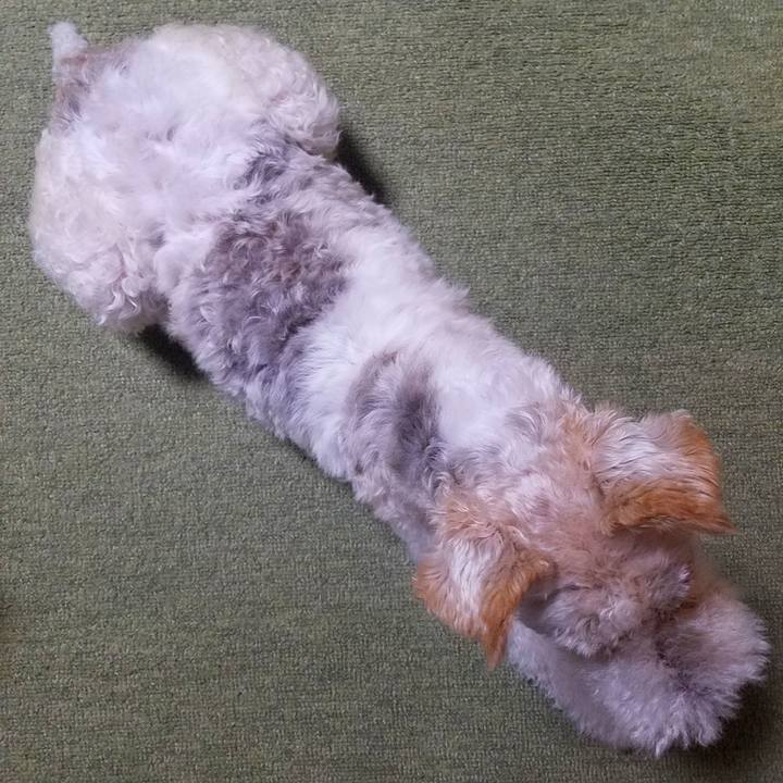 94d66a92 3bfd 4a0b b0c9 fcc3ada7a740 1563753473315