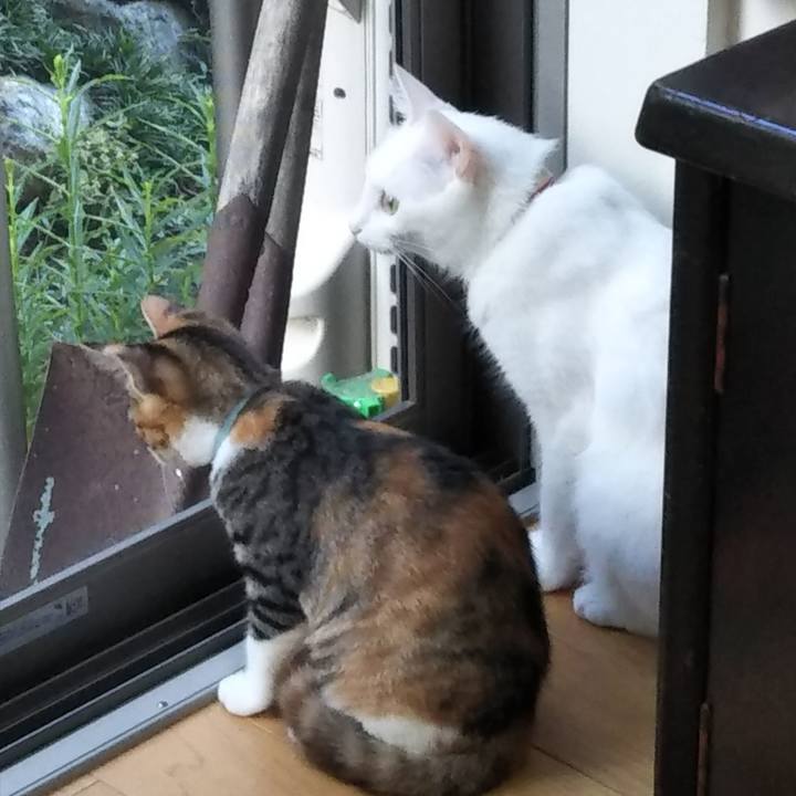 94d69955 c200 45e4 8399 63f6e5fafbb2 1628456699559