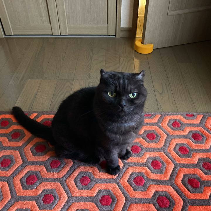 94d69aee 22a9 4c80 a105 d809b054fd35 1604880477207