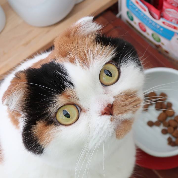 94d6cab8 45d0 491b bd7d 70acab846102 1652706245395