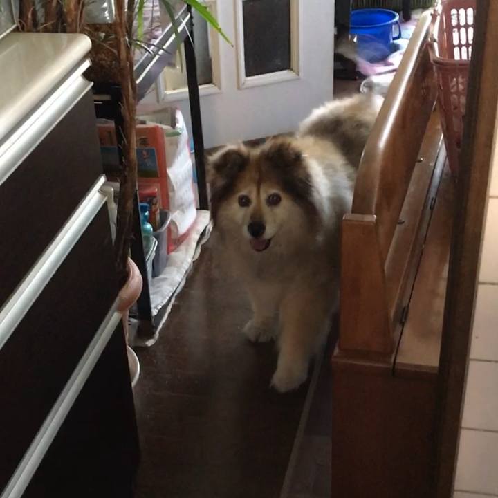 94d6cb51 9f37 4af5 b523 56af8f86d4b1 1580837160191