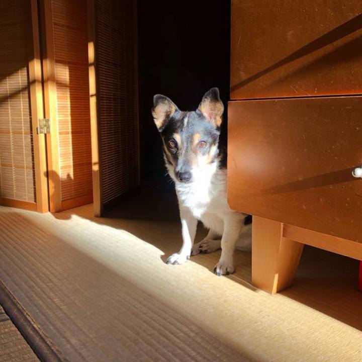 94d73389 47f8 4a5a 89af 848806149a50 1771295401096