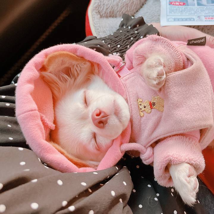 94d76dcb 0701 49c7 9675 682bab686093 1675662929765