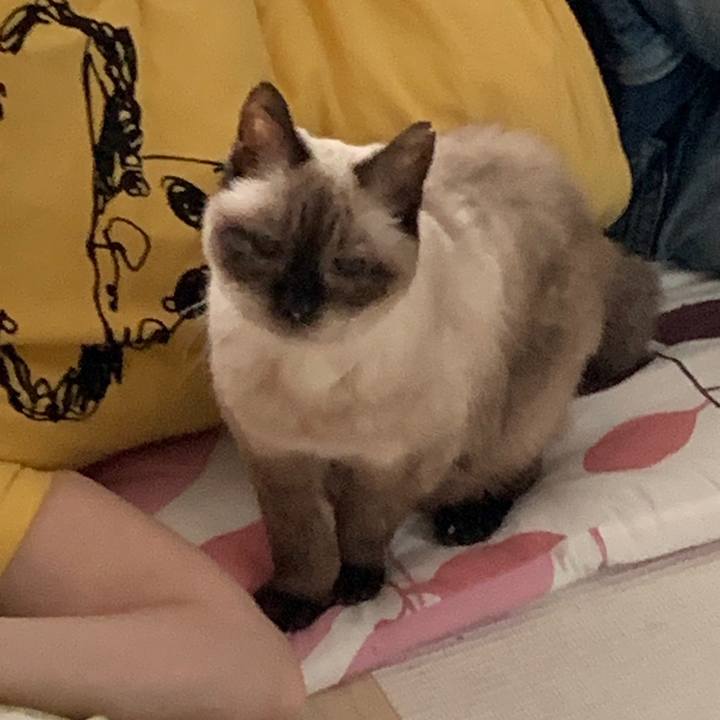 94d780ca 78e1 4d7b a051 034c7ab9263d 1691805603186