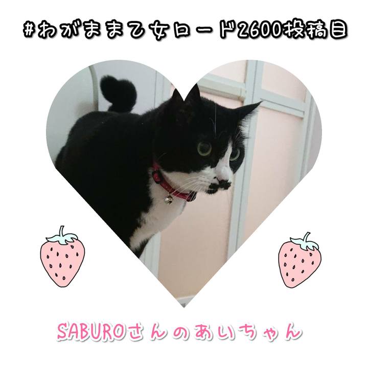 94d7b08a 9ac7 45aa a13e 68c03a16c331 1581370776918