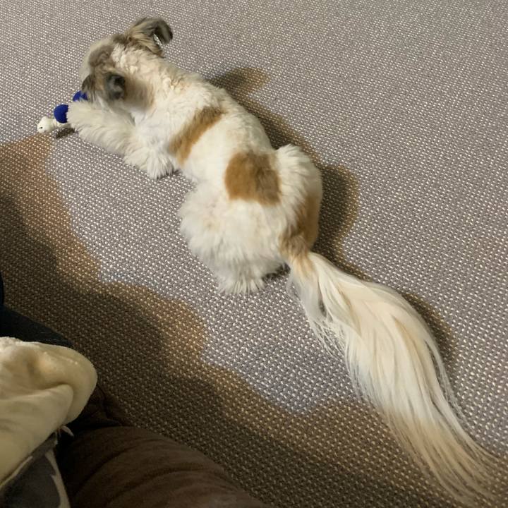 94d7d332 ca9d 4f3b b042 9dfbebd69105 1579346105623