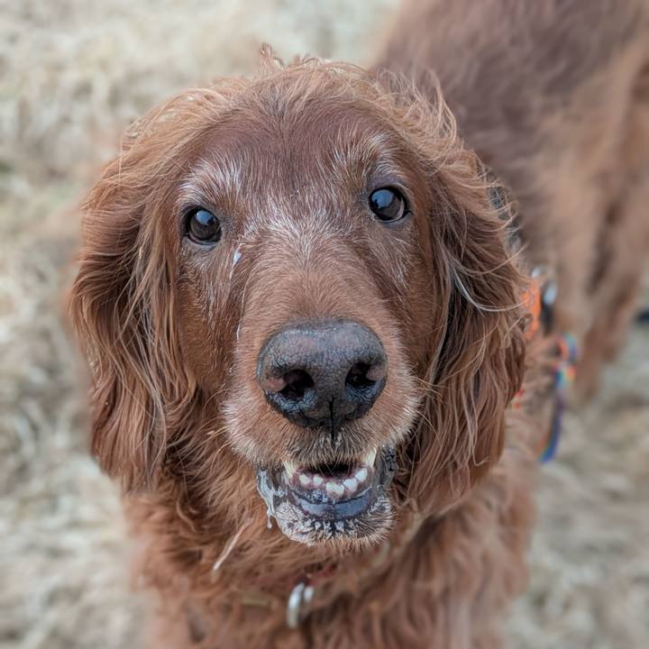 94d7e5da 125b 4c7c 8edb 44311a6e338e 1772008910161