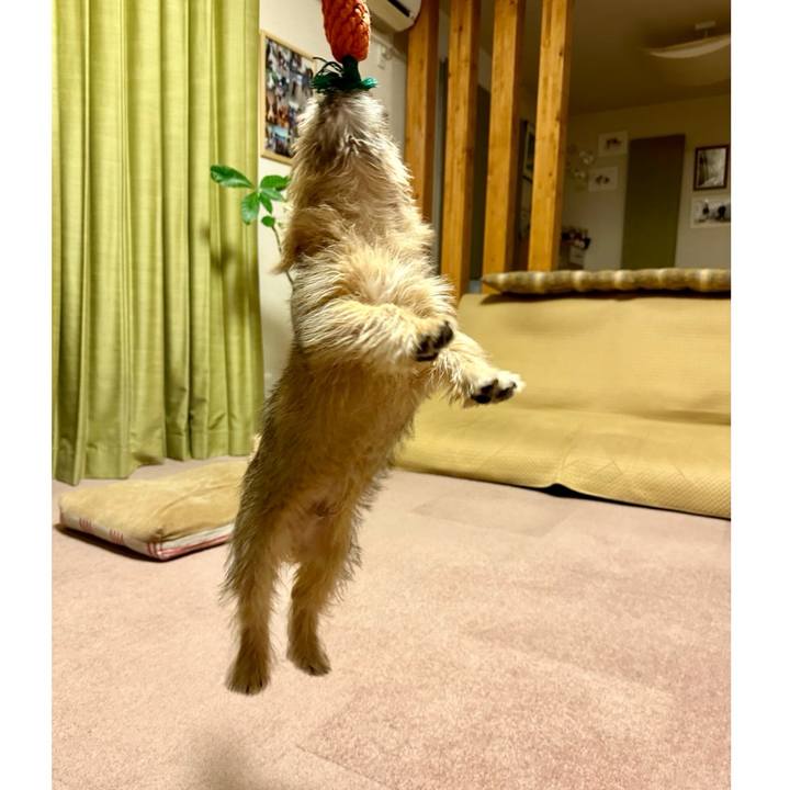 94d7fbac 1c13 48e7 96b0 0c8b2ac42f7c 1702822587844