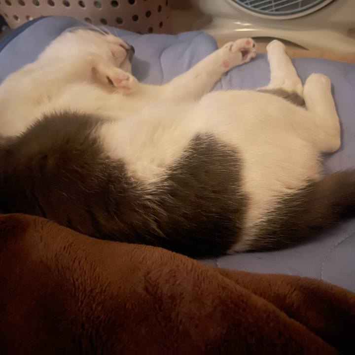 94d82a9b b5d9 43d6 8c9a bb50956b0dc9 1624282250226