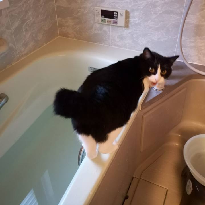 94d8796c 55cc 4e42 8152 f79ec1c24eaf 1563371524001