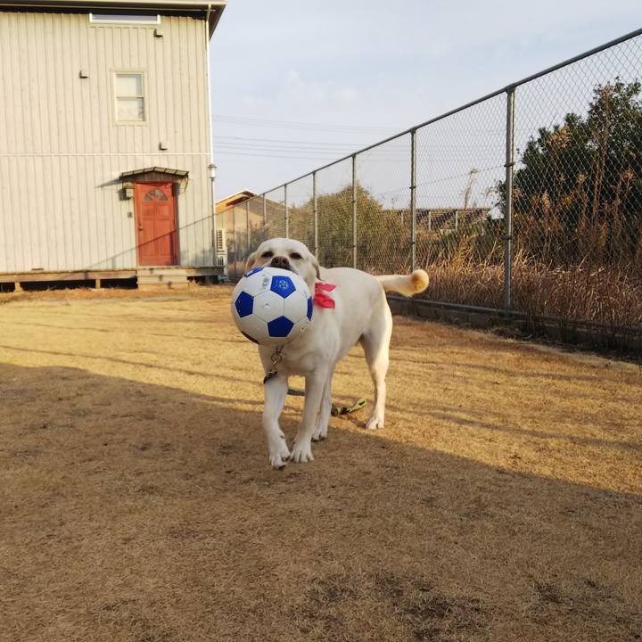 94d8859f 2931 4124 9475 4749a632739d 1514106137124