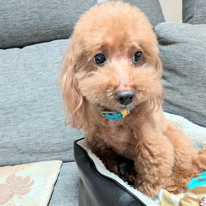 94d88bb1 2ff0 4324 aeac 10337bf6501f 1773913363016