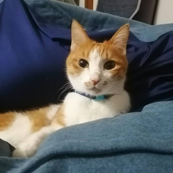 94d8bc18 4227 4ea9 a479 a2170504f4b4 1616071158664