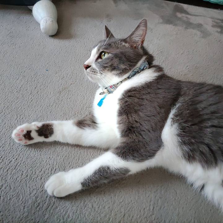 94d8bff6 3da3 478a b985 bfa2f53f5c07 1691215221466