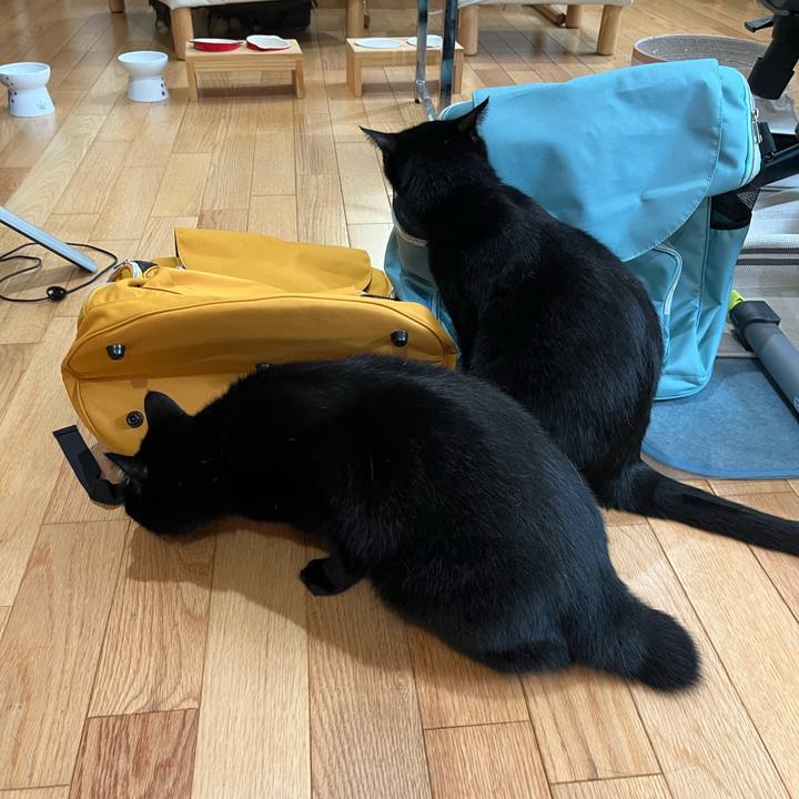 94d8d6cc 8679 4ca8 928d d16a4b12ea01 1663378842619