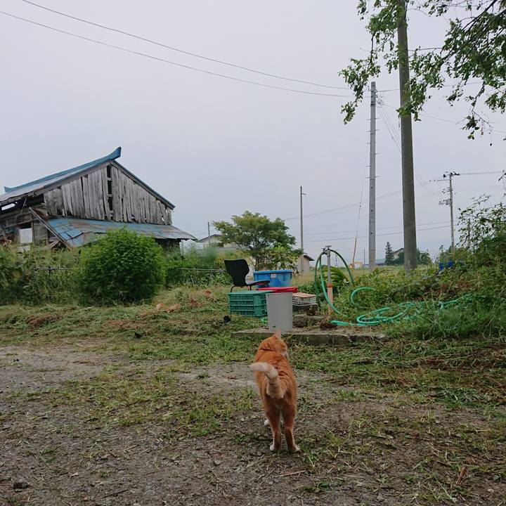 94d8e1f1 9f28 44f8 90b9 4500b3b5ba4b 1600636437911