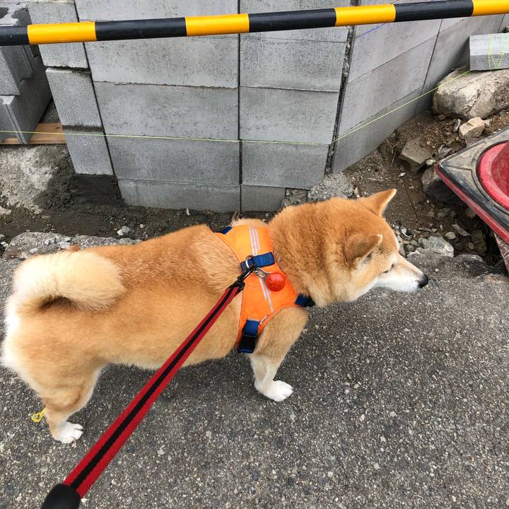 94d910d7 31d4 4cc0 875a dfbc56018b26 1562222988992