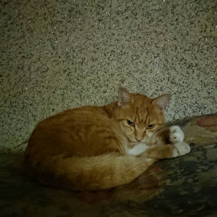 94d93f34 aa01 4406 84bc 47e81e435a9b 1603022262927