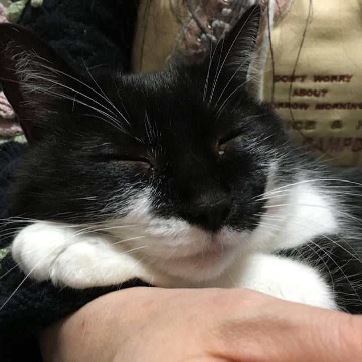 94d96a22 668c 4f33 9e65 cffc576f095e 1556543217662