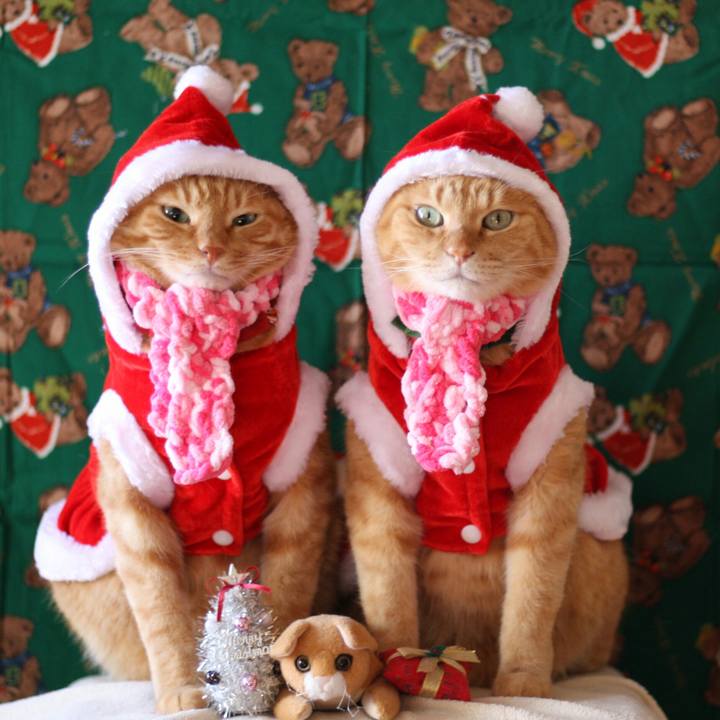 94d99517 1ed3 4e1d b28c 0eb501ce6770 1514043017821