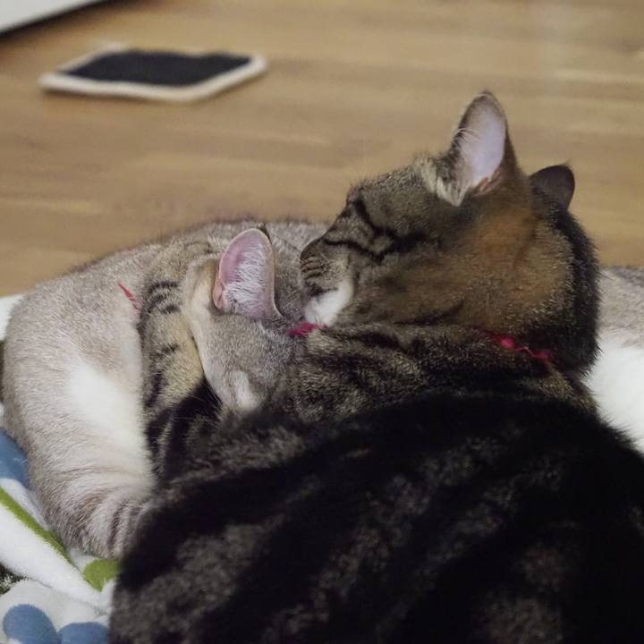 94da20d3 b737 4d84 b819 4b0cf3332bf8 1620017466066