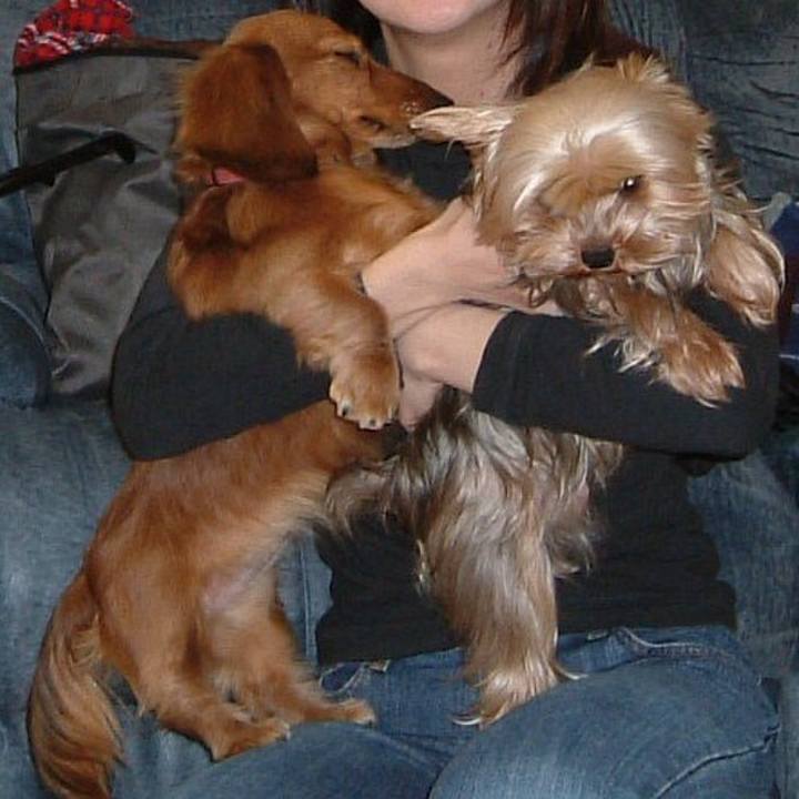 94da53ac 026d 4436 9dd5 7ebda76ecd47 1628652055018