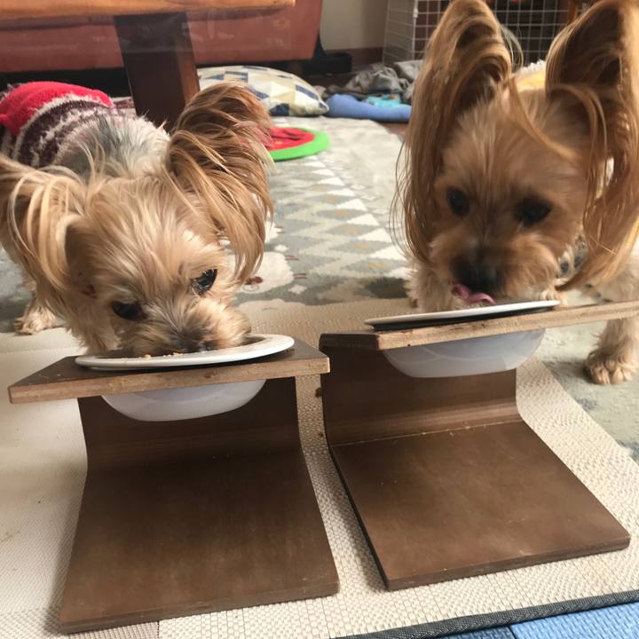 94da77a7 85ea 49eb a5fd 04da0a970adb 1612522431764