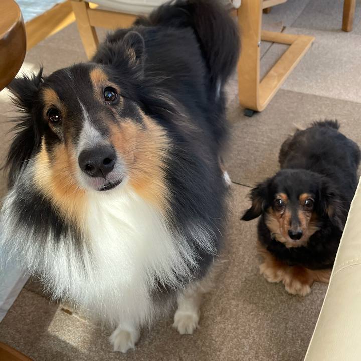 94da7d65 d8dc 41b3 821e 04e050de1cfc 1614983662402