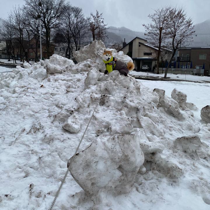 94da8d5b 6e31 42dc b43f 76b772aaec57 1616031600339