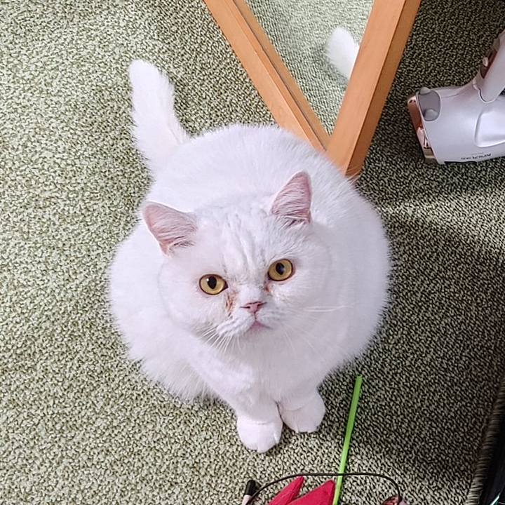 94da974f 48aa 467d ab22 678666d3839b 1694172012007