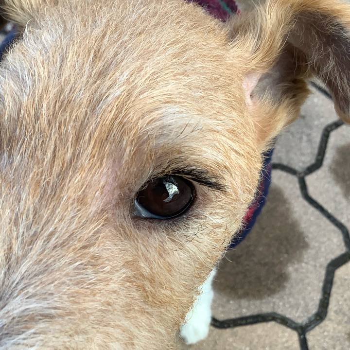 94dad2f9 6c9f 4233 ab55 b99c2be4da57 1769856345865