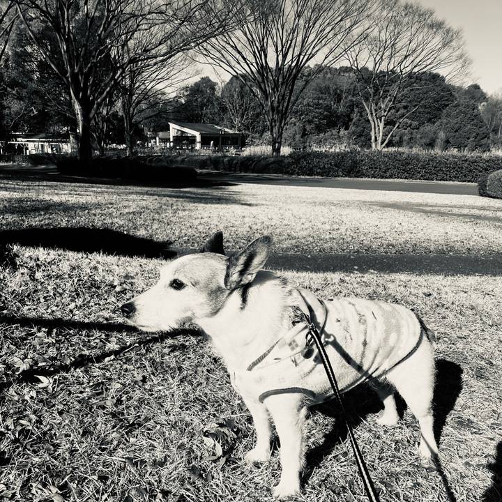 94dafb43 5556 4b9b 8af7 ba8cae0bd9fb 1703719642838