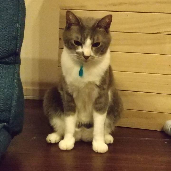 94db1f2c 0783 4d03 8ba8 2cbe1c5326e8 1618314038091