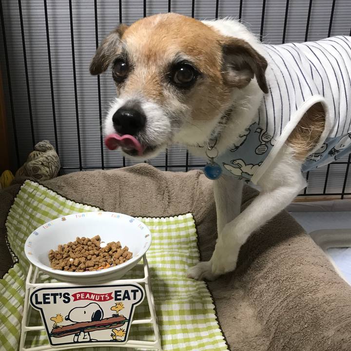 94db2f25 a48d 45a2 9efb 415ddb214589 1592518896027