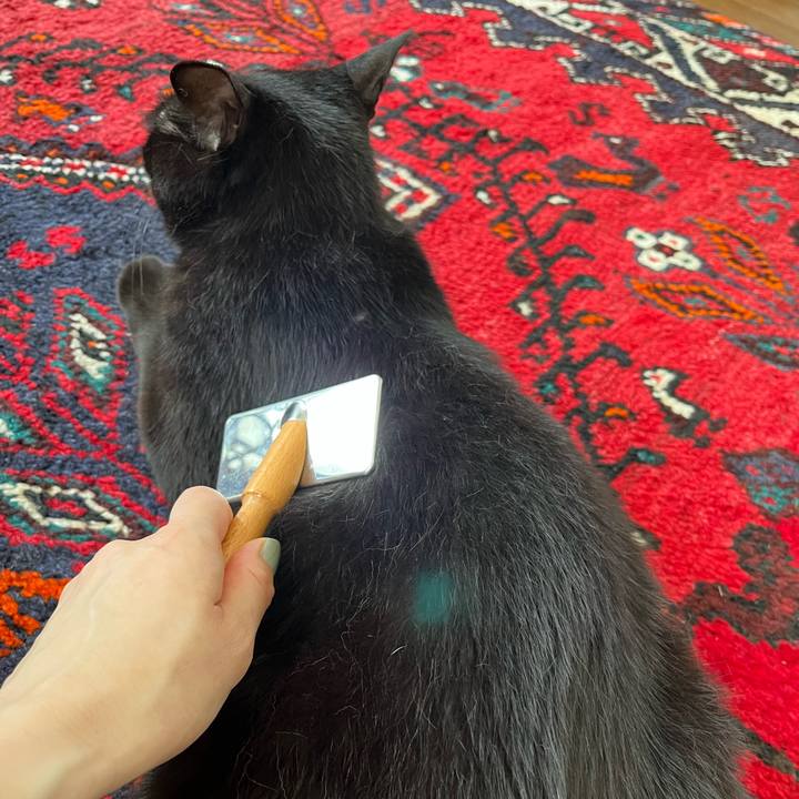 94db5ca7 6eb6 4635 9940 d9174d27f9d4 1683335347587