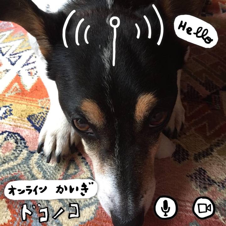 94db5cca 2439 4516 b5b5 cfe9276b2293 1593737266375