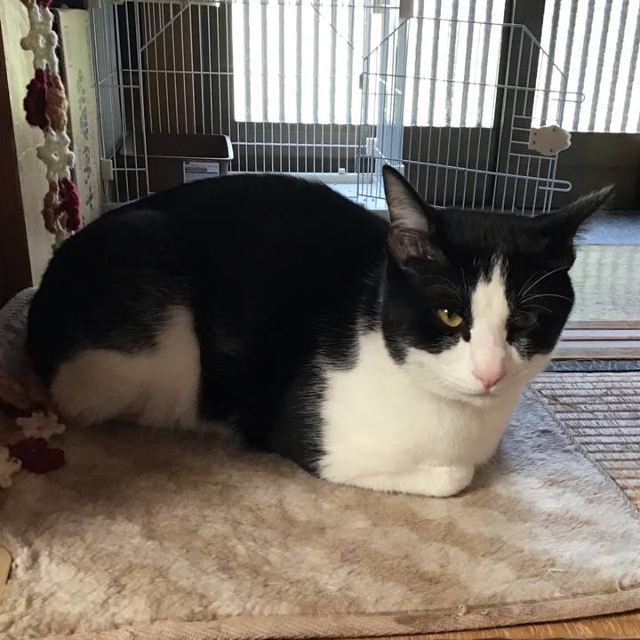 94db6903 f054 4408 a2db 9b8883116c8f 1650320908348