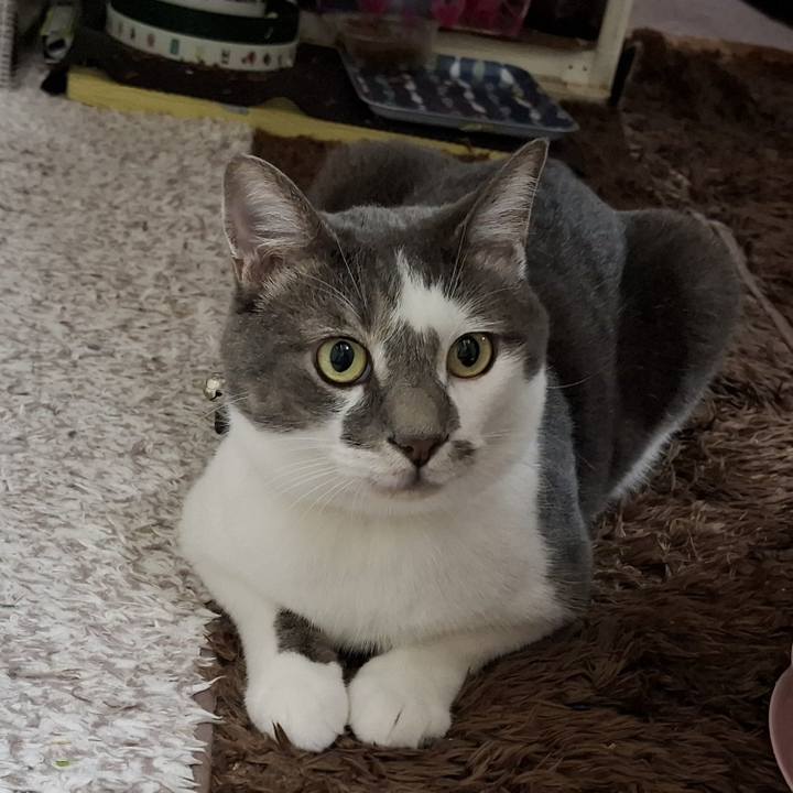 94dba6fc 6339 4243 93c4 bbb5841b8bc2 1756597703984