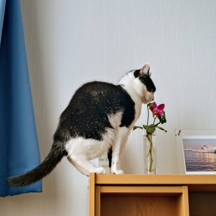 94dbafd8 2b81 4a29 a838 a7836d26b6b8 1767095216187