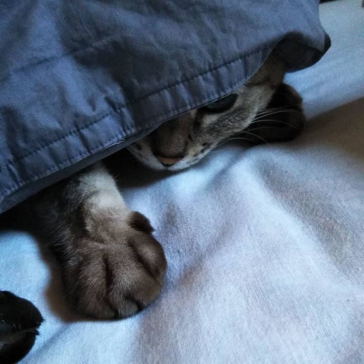 94dbf5e1 2585 4dac 90d2 4796f3356859 1602772996622