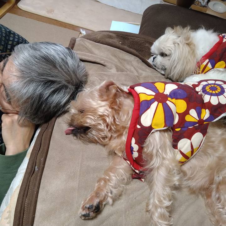 94dbfa00 d484 43be 81d5 229f395e513e 1641219188996