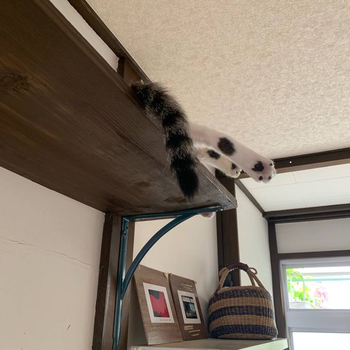 94dc29d6 f13d 4b3d 89d5 409d6399ad0f 1563758000949