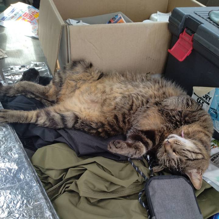 94dc31f1 a5f9 461d 8d03 db1c5a33e505 1720692900002