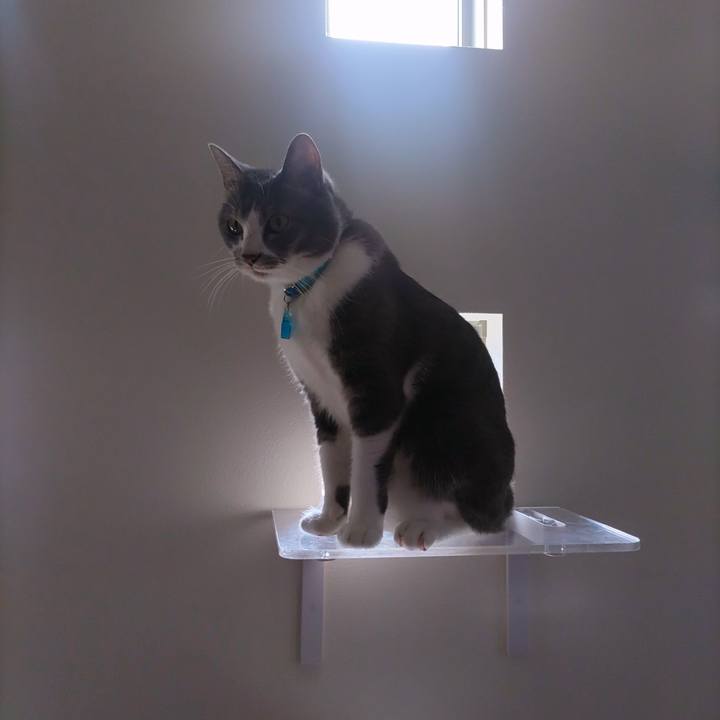 94dc3d6d 848e 4506 a1b5 41165aed5890 1661301898428