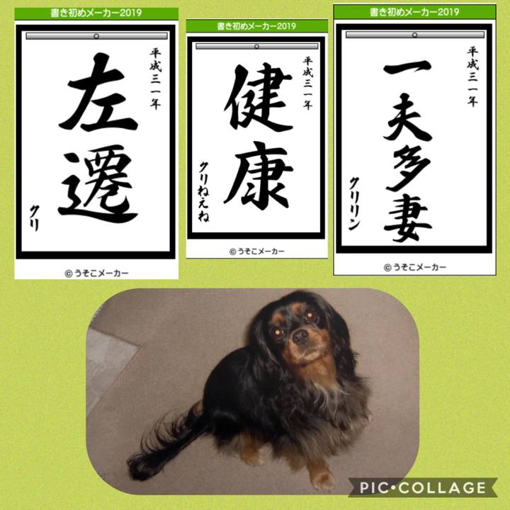 94dc4c99 3d1f 4e6b a0a3 1ab1244d9de3 1546480754950