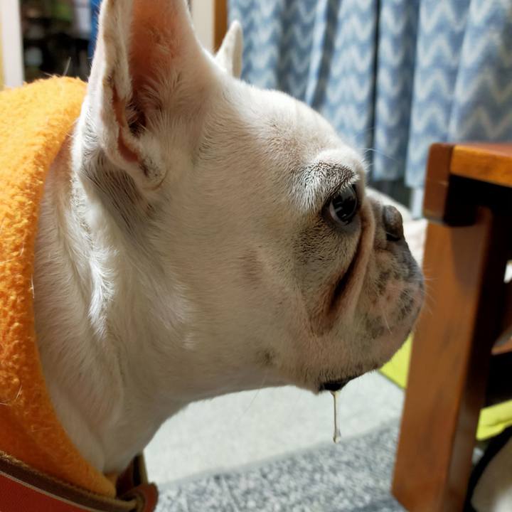 94dc602e fa38 4ea6 8e65 fa229449023b 1642414443670