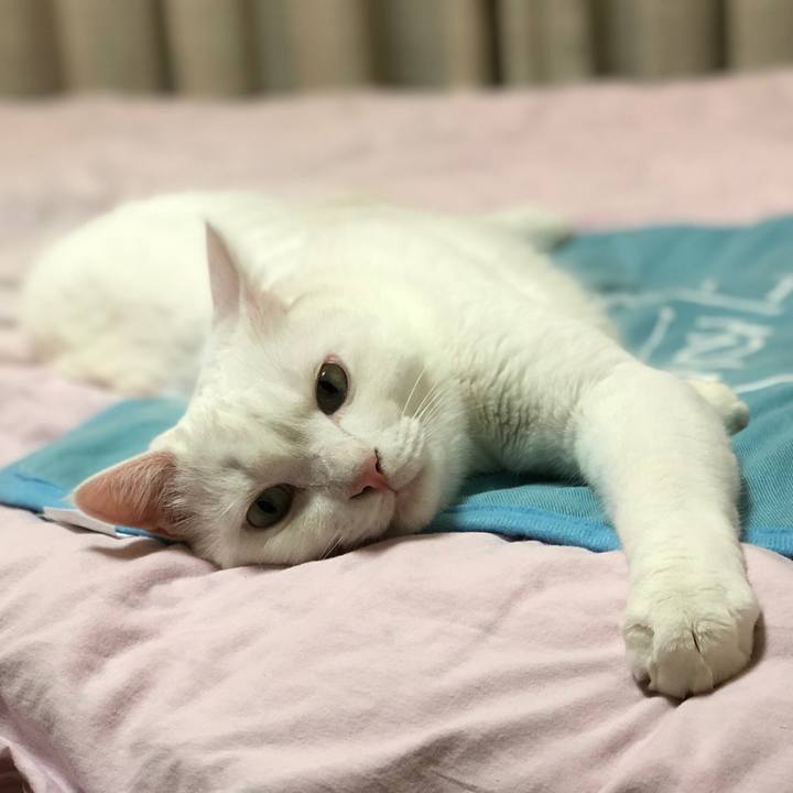 94dc6538 d852 4e03 b31f 72af49acb112 1570841346712