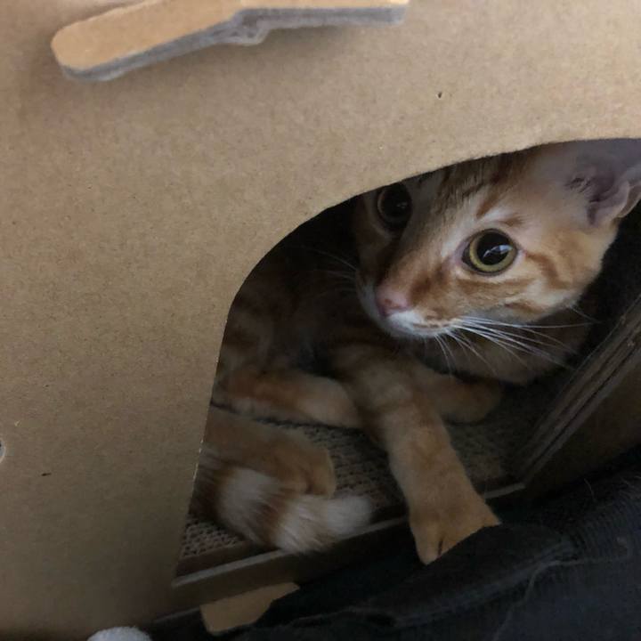 94dc6b55 3950 4acf 8786 9f727e38430c 1631665688502