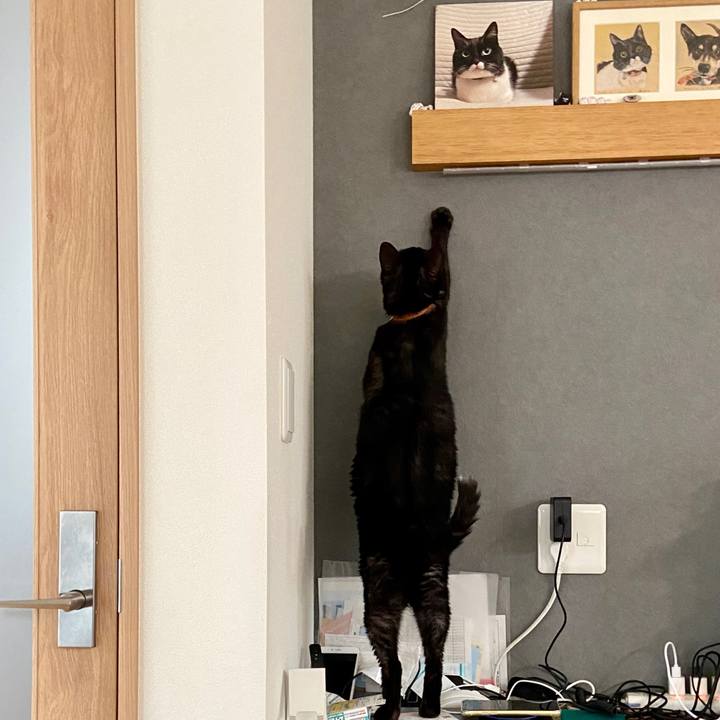 94dc8c31 4abf 476c b8fd ca22c2cf4b80 1594397321443