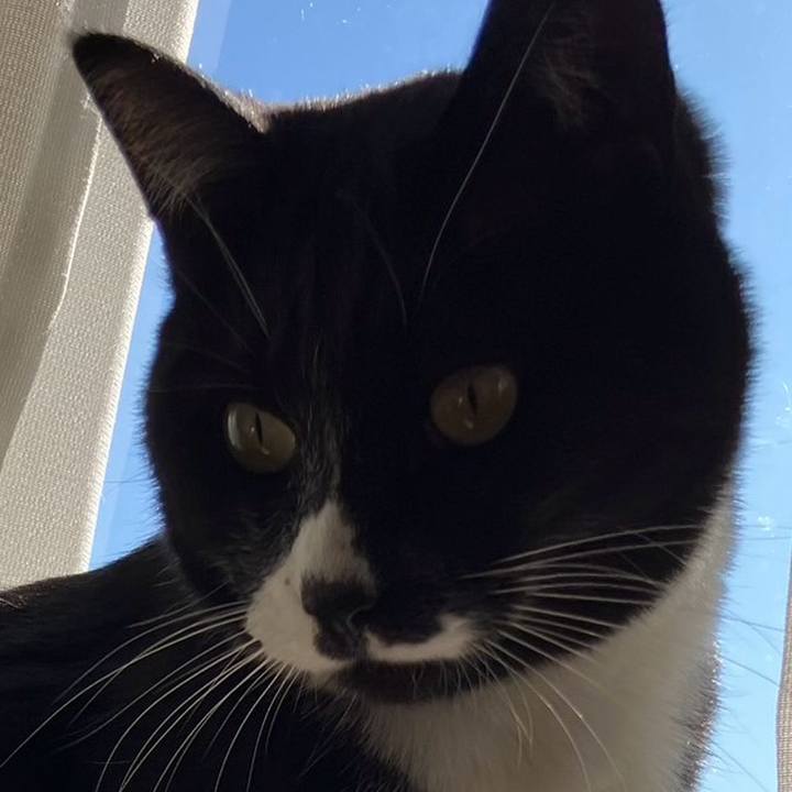 94dcbf3a 9bcd 412d a10f ce200b9de49a 1705124715035